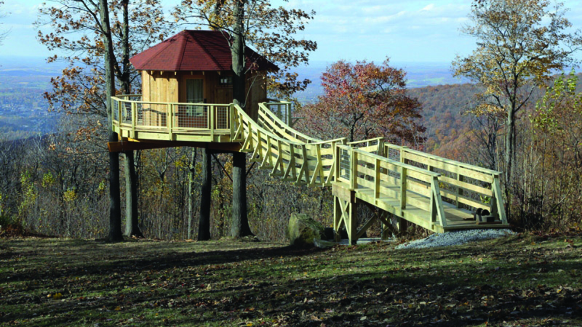 La mia nuova casa sull'albero