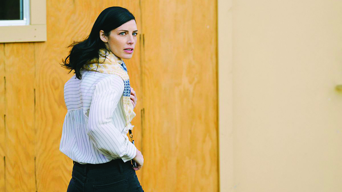 Seal Team-La cattura