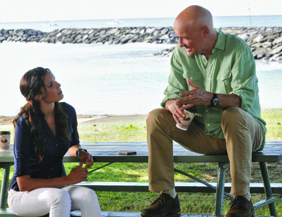 Hawaii Five-0-L'eroe