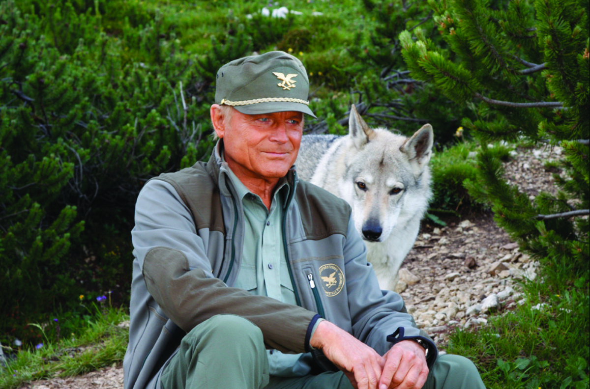 Un passo dal cielo 2