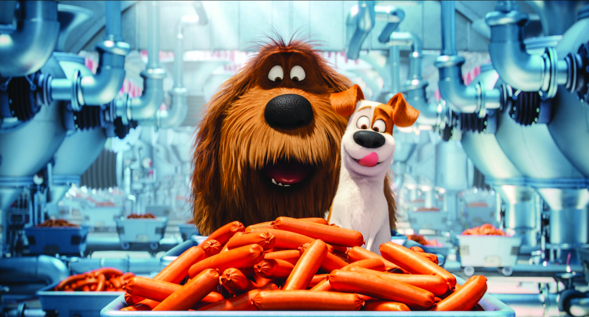 Pets - Vita da animali