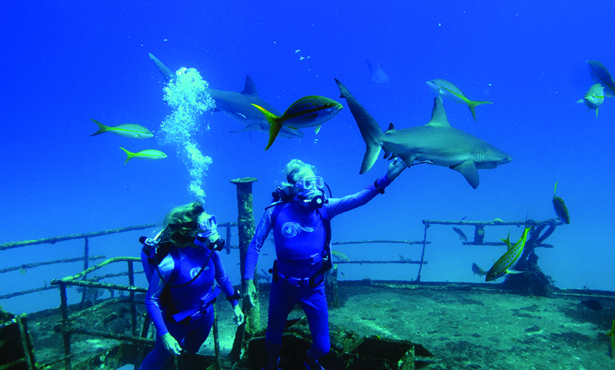 Le meraviglie del mare