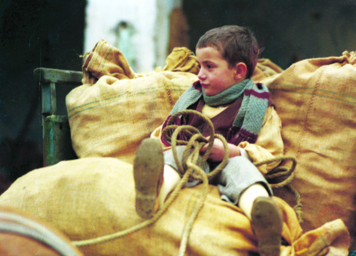 L'albero degli zoccoli