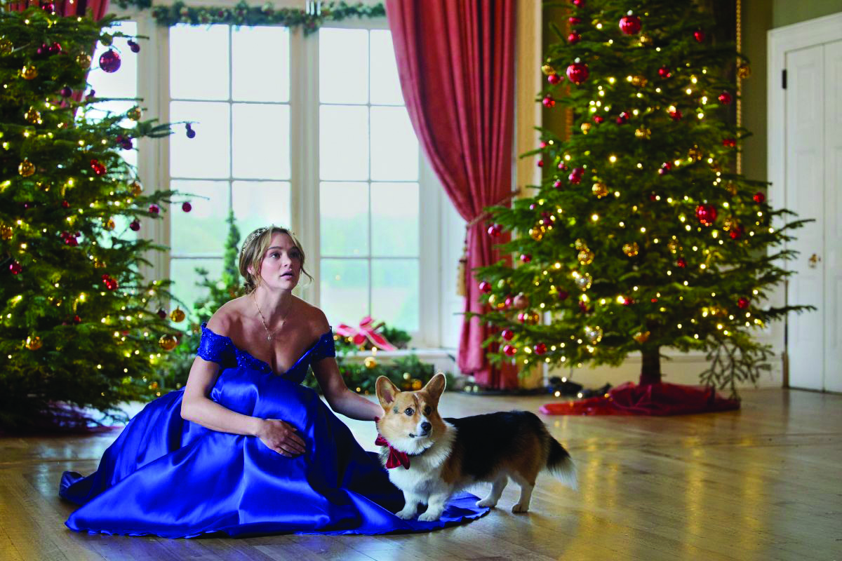 Un corgi sotto l'albero