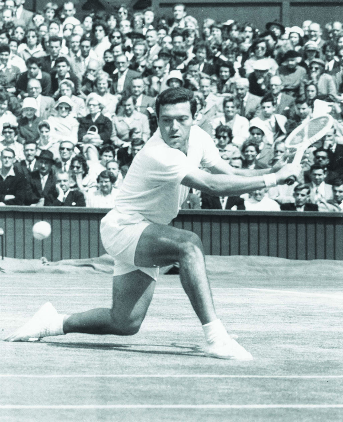 Nicola vs Pietrangeli