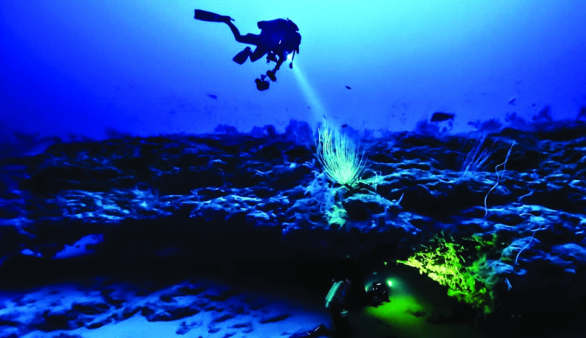 Il fuoco del Mediterraneo